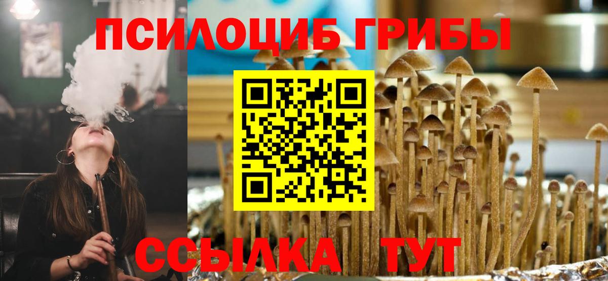 Сибай  цена   Вход с VPN  Псилоцибиновые грибы Cubensis 